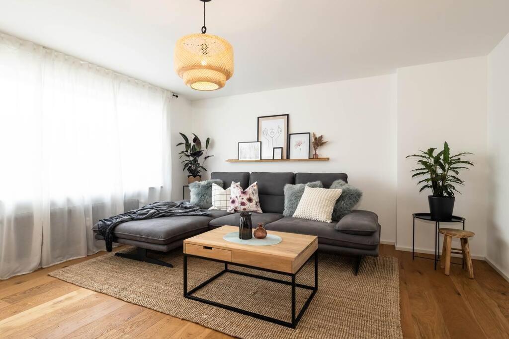 Luxury Apartment On The Rhein Busingen am Hochrhein Exteriör bild