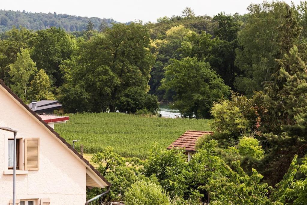 Luxury Apartment On The Rhein Busingen am Hochrhein Exteriör bild