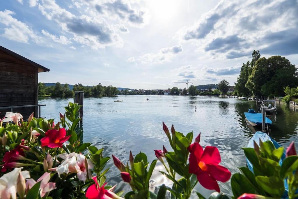 Luxury Apartment On The Rhein Busingen am Hochrhein Exteriör bild