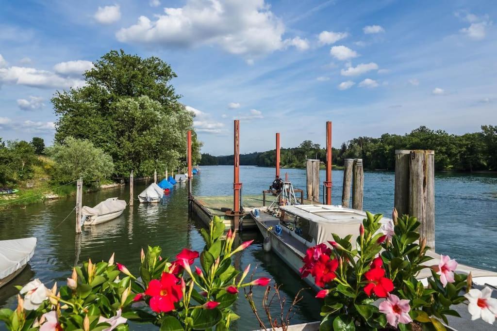 Luxury Apartment On The Rhein Busingen am Hochrhein Exteriör bild