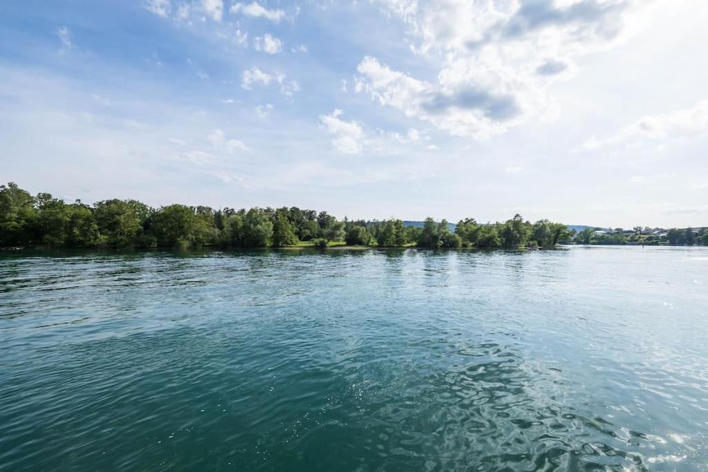 Luxury Apartment On The Rhein Busingen am Hochrhein Exteriör bild