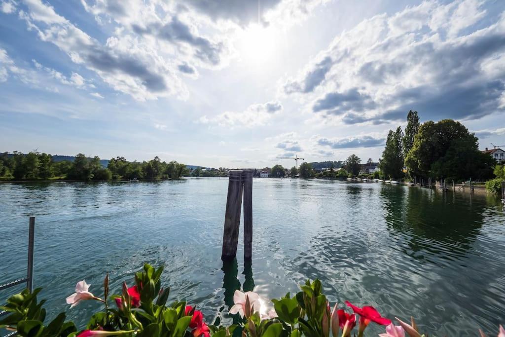 Luxury Apartment On The Rhein Busingen am Hochrhein Exteriör bild
