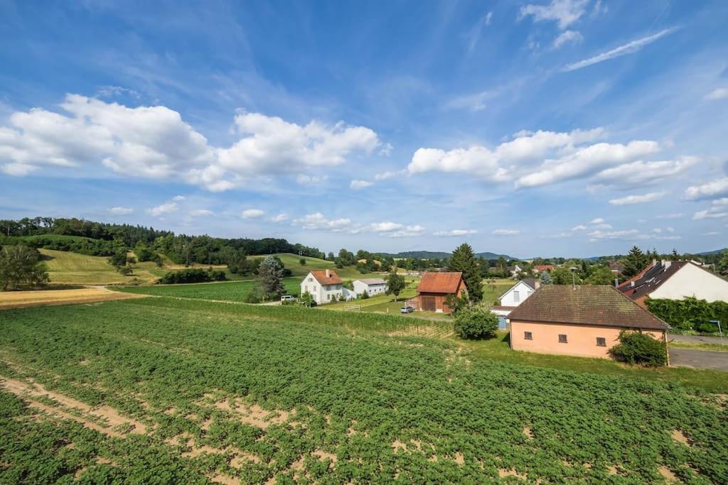 Luxury Apartment On The Rhein Busingen am Hochrhein Exteriör bild